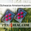 Black Ant Capsules 14